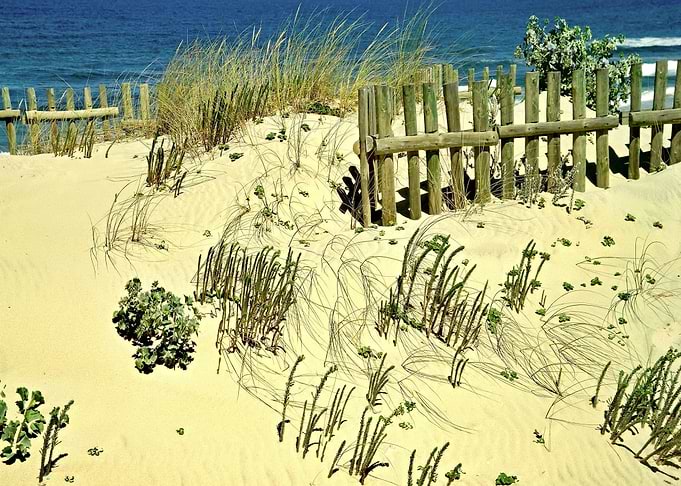 West coast dunes