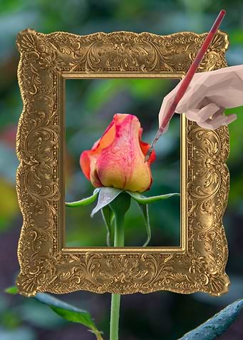 Art of Nature