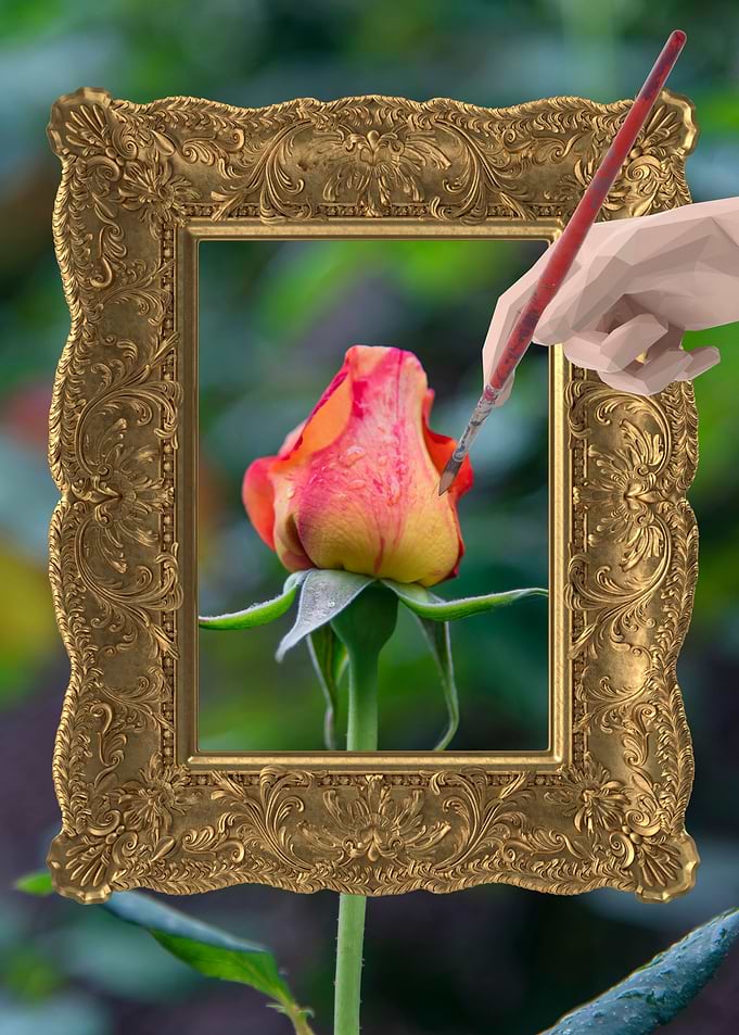 Art of Nature