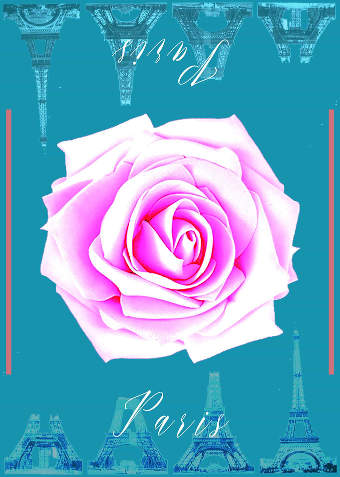 Paris Rose