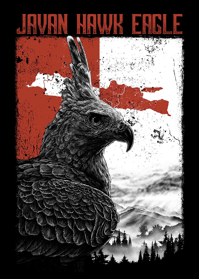 Javan Hawk Eagle