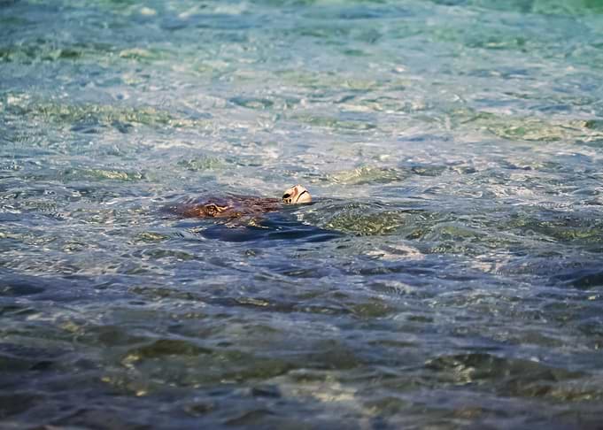 Water 296