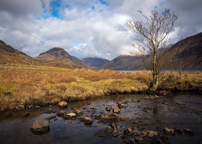 River Landscape