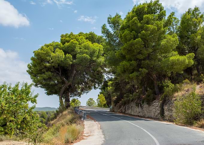 Road curve at Gebas