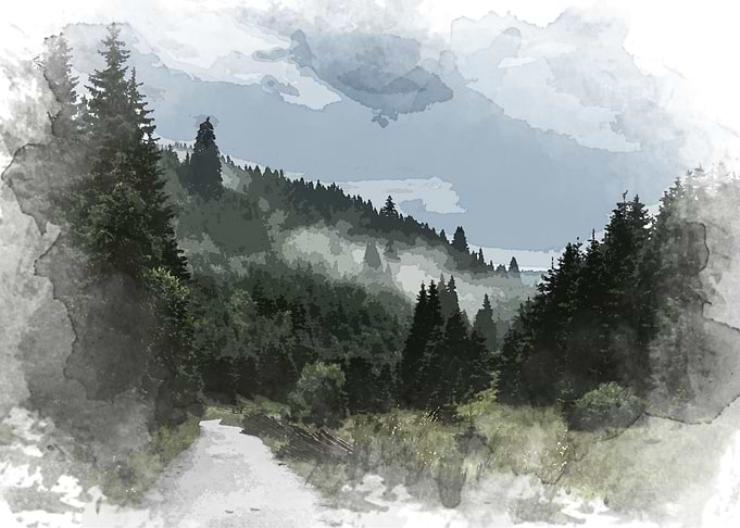 pine landscape