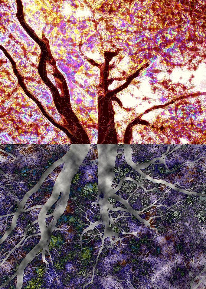 Roots 2