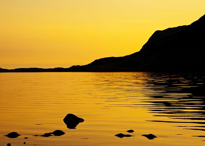 Golden Evening