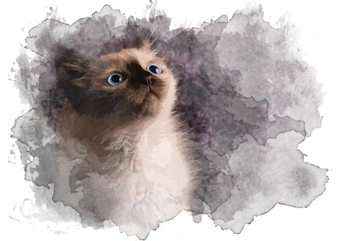 cat painting