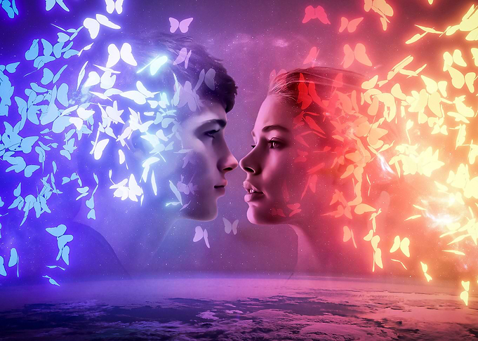 Butterflies