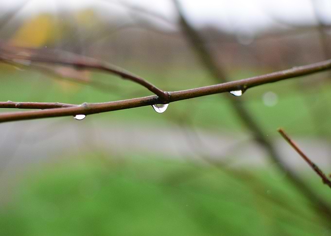 Drops