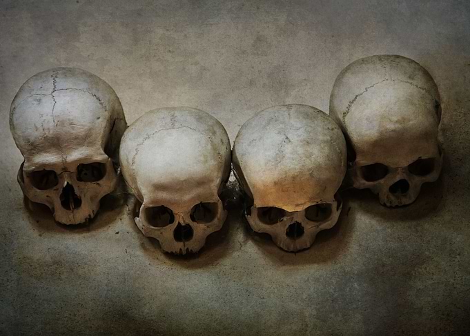 Four skulls