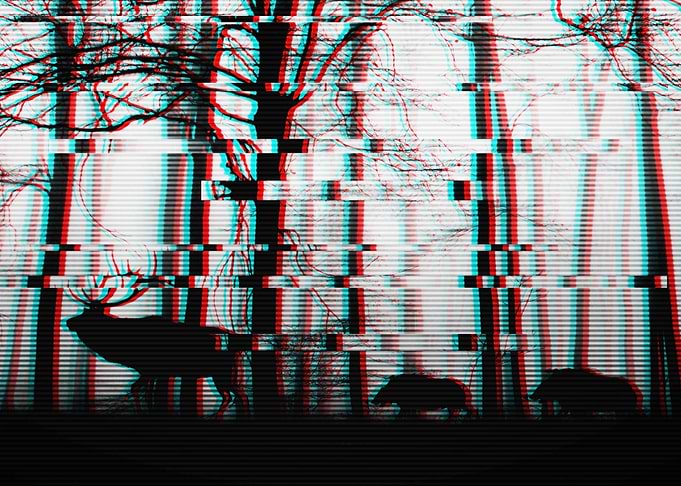 Portrait Glitch forest