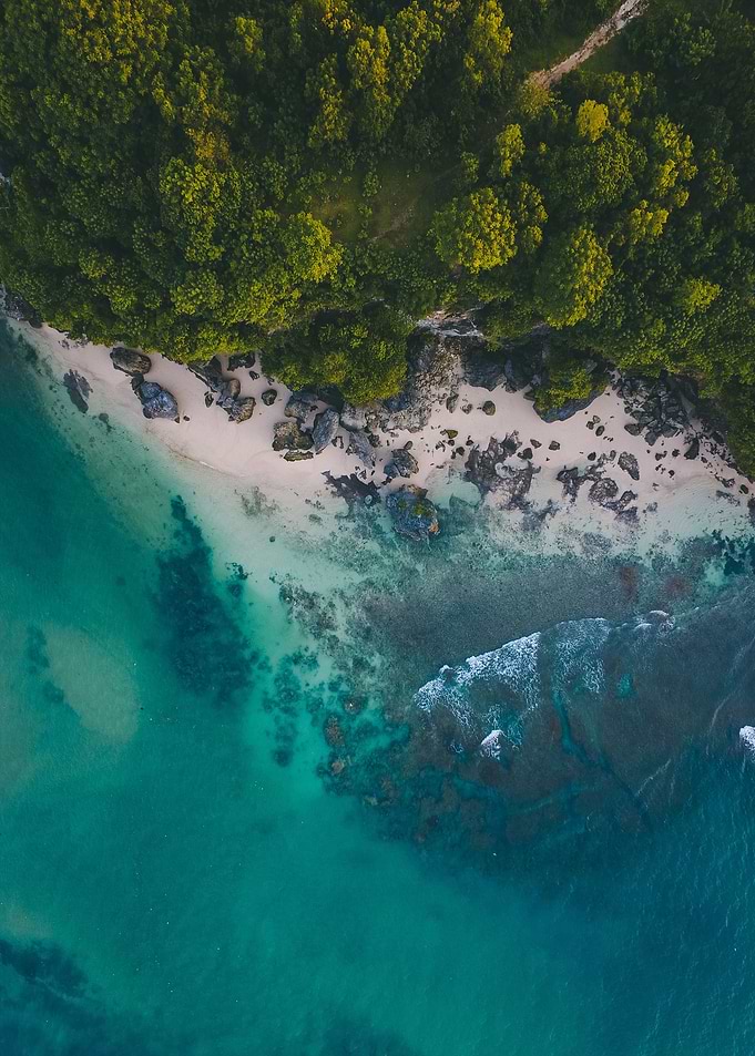 Clear Coast