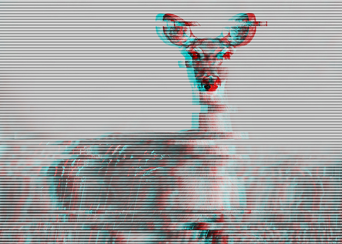 Portrait Glitch roe