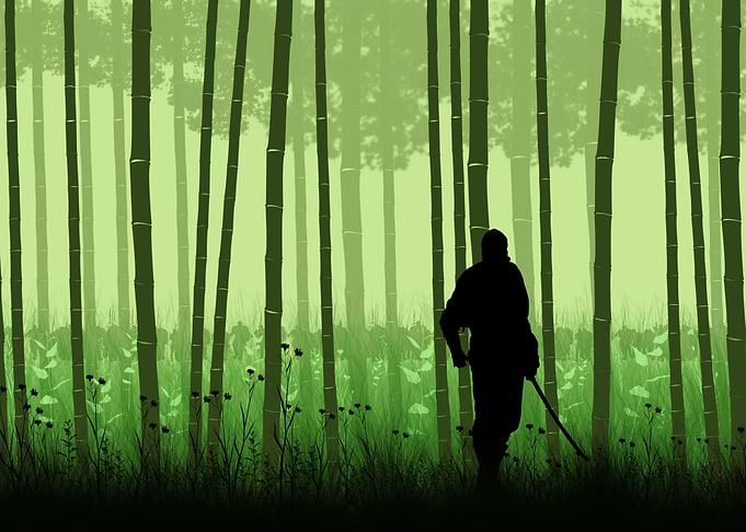 Silhouette Ninja