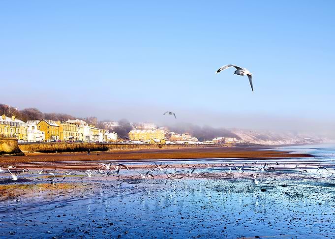 Filey Coast