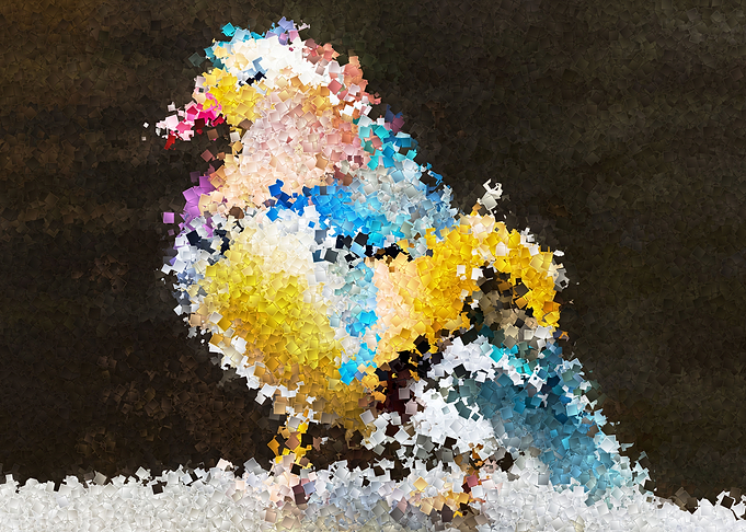 Mandarin bird
