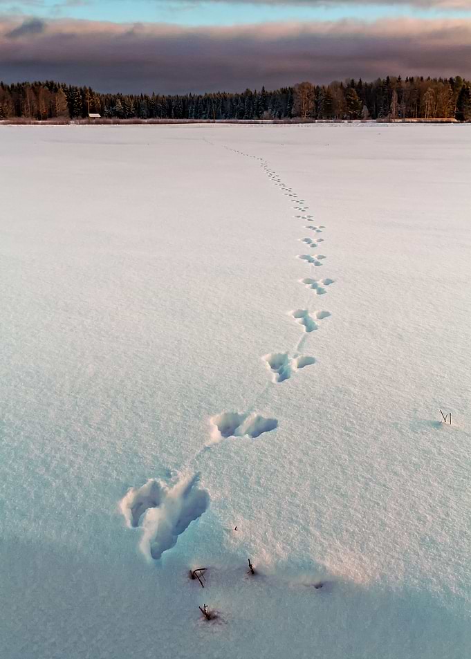 Footprints On The Snow