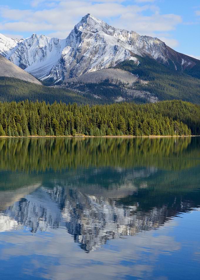 Reflection