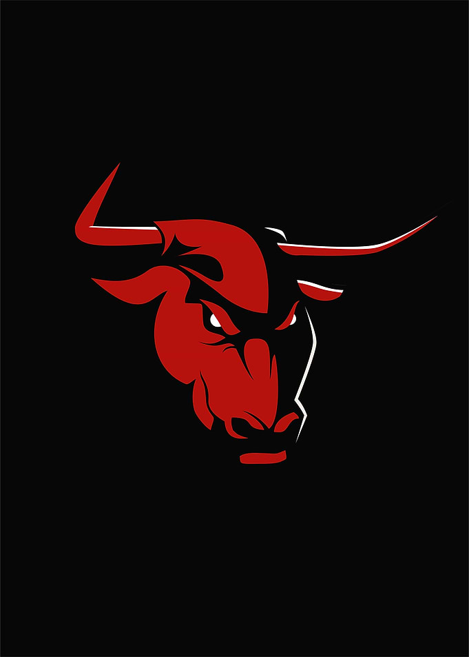 Red Bull Head