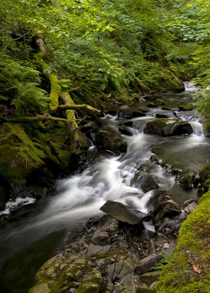 Rocky River