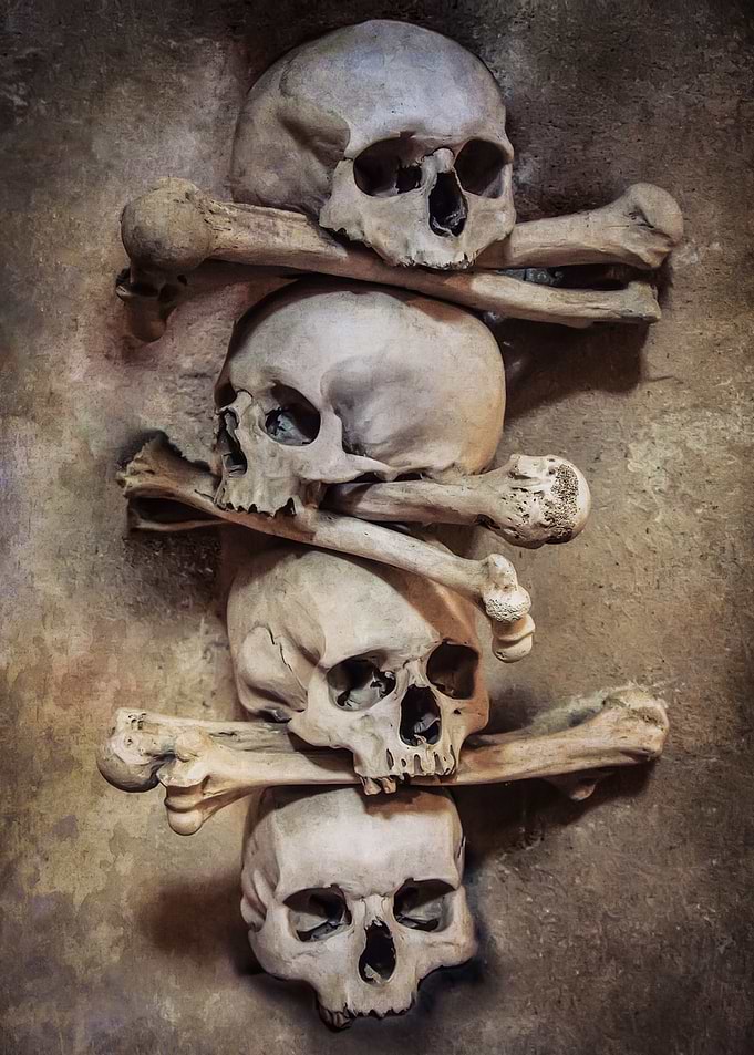 Skulls and bones