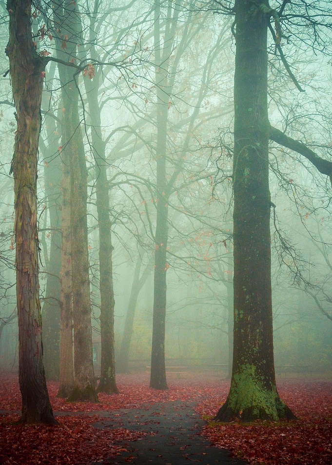 Woodland