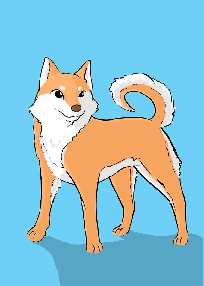 Shiba Inu