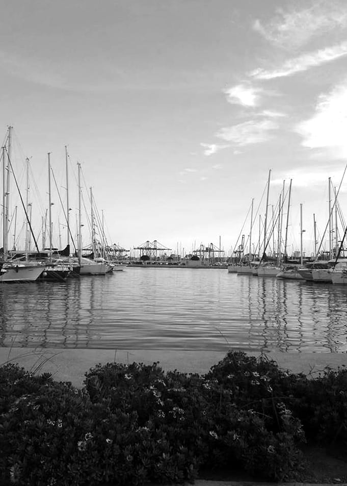 Harbour black and white