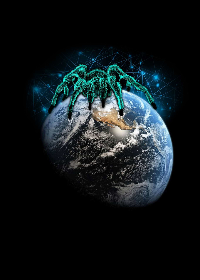 The Web