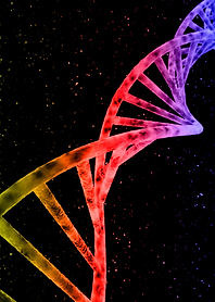 DNA I
