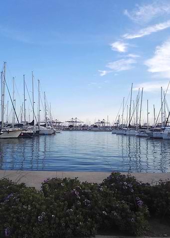 Evening at the harbour
