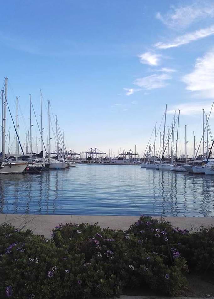 Evening at the harbour