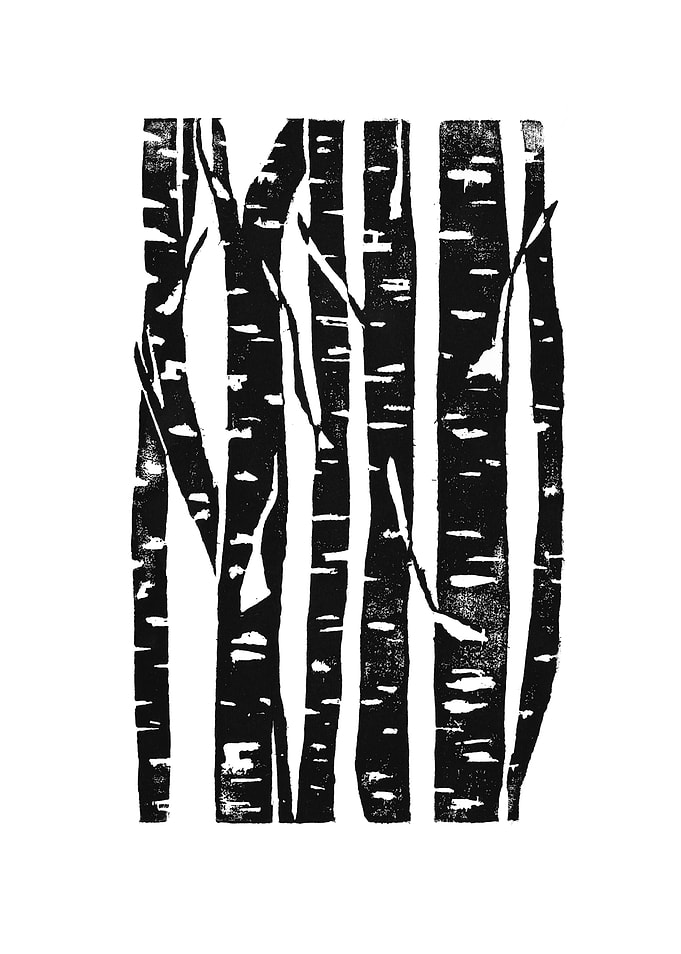 Woodcut Birches