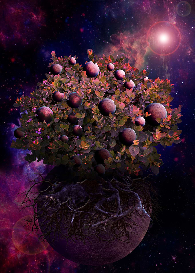 Galaxy Birth