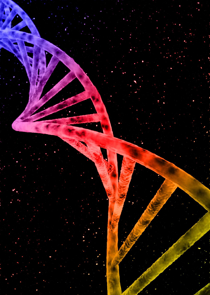 DNA II
