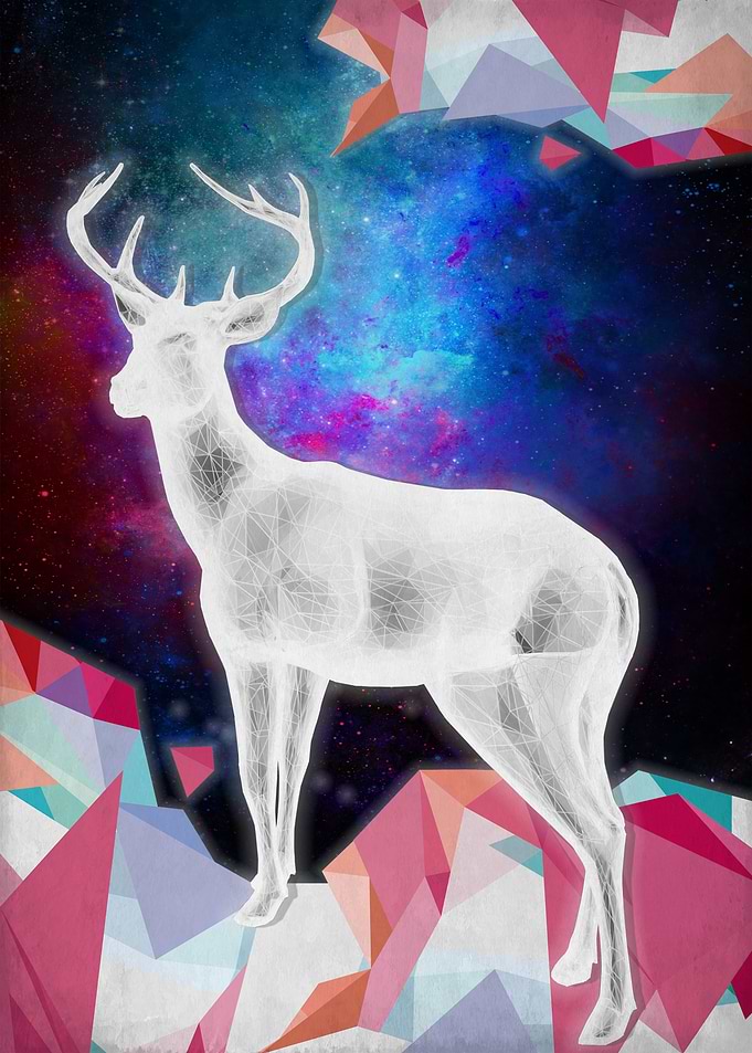 white wapiti of nowhere