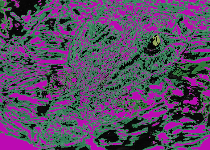The Eye
