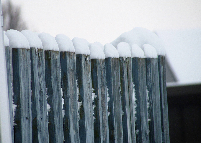 Fence