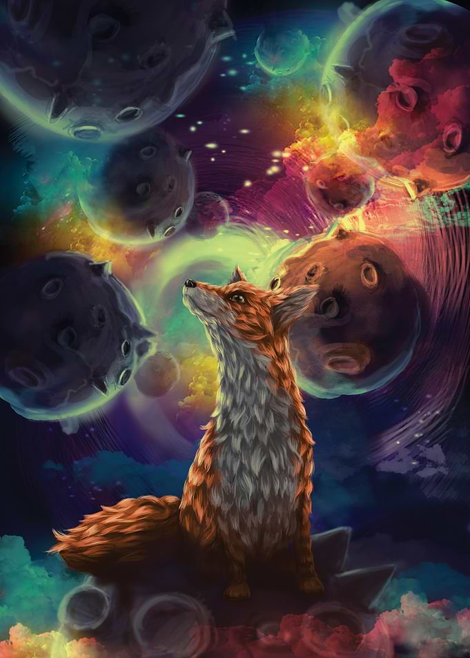 little price fox and space