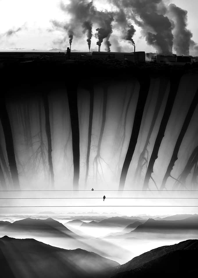 Bad Kingdom