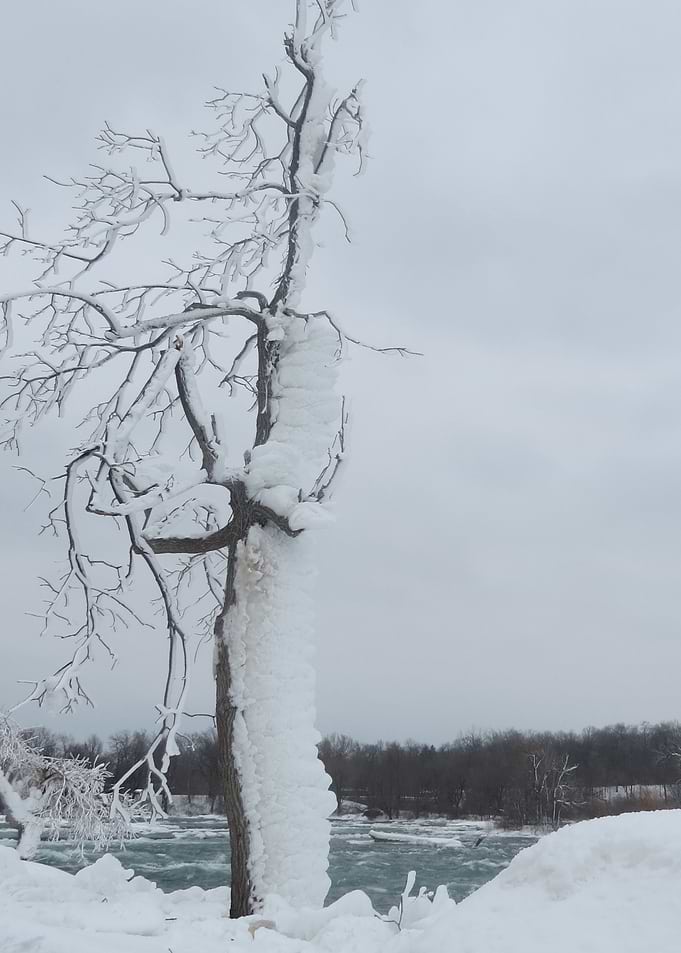 Frozen New York