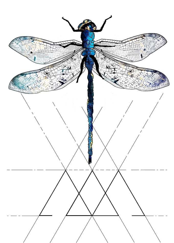 Dragonfly