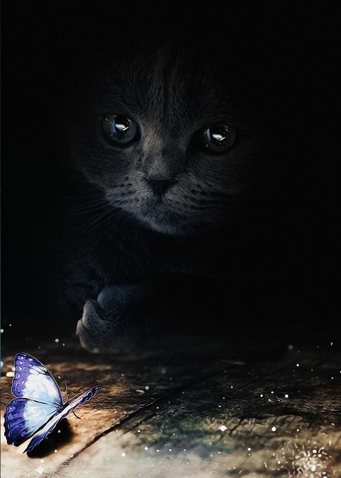 Cat and blue butterfly