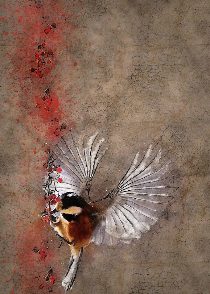 Tit in winter