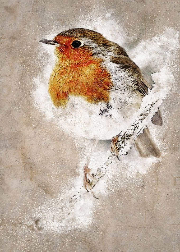 Robin