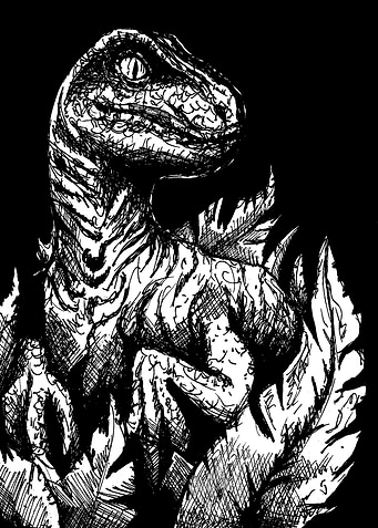 natural raptor