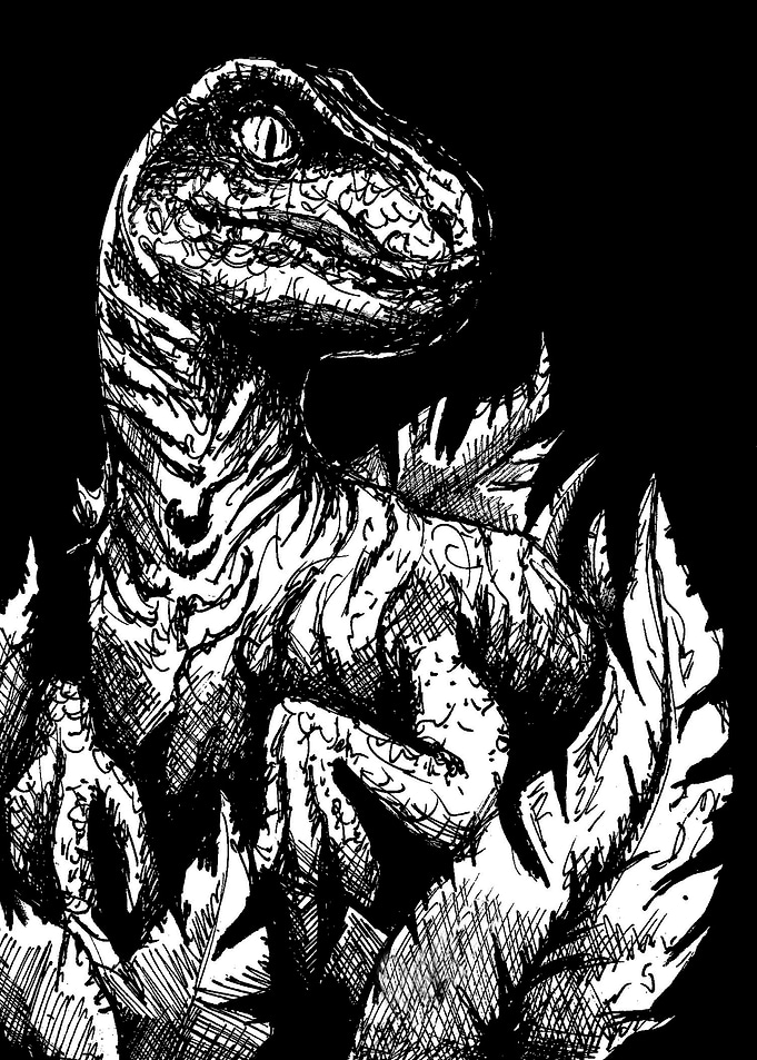 natural raptor