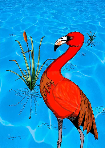 Flamingo Chillin