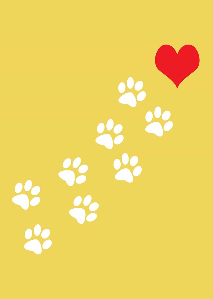 Love paw